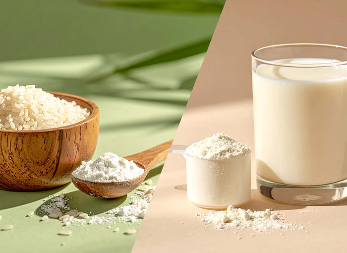 Vergleichsbild: Reis und Reisproteinpulver links, Molkenprotein-Pulver und ein Glas Milch rechts