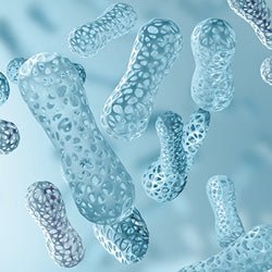 Raab Vitalfood Milchsäurebakterien - Lactobacillus und Bifidobakterien Stämme aus standardisierten Kulturen, hochwertige Bakterienkulturen