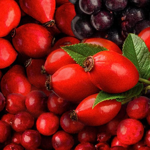 Raab Vitalfood Beeren und Früchte - Bio Acerola, Acai, Hagebutten und Fruchtpulver in Premium Bio-Qualität