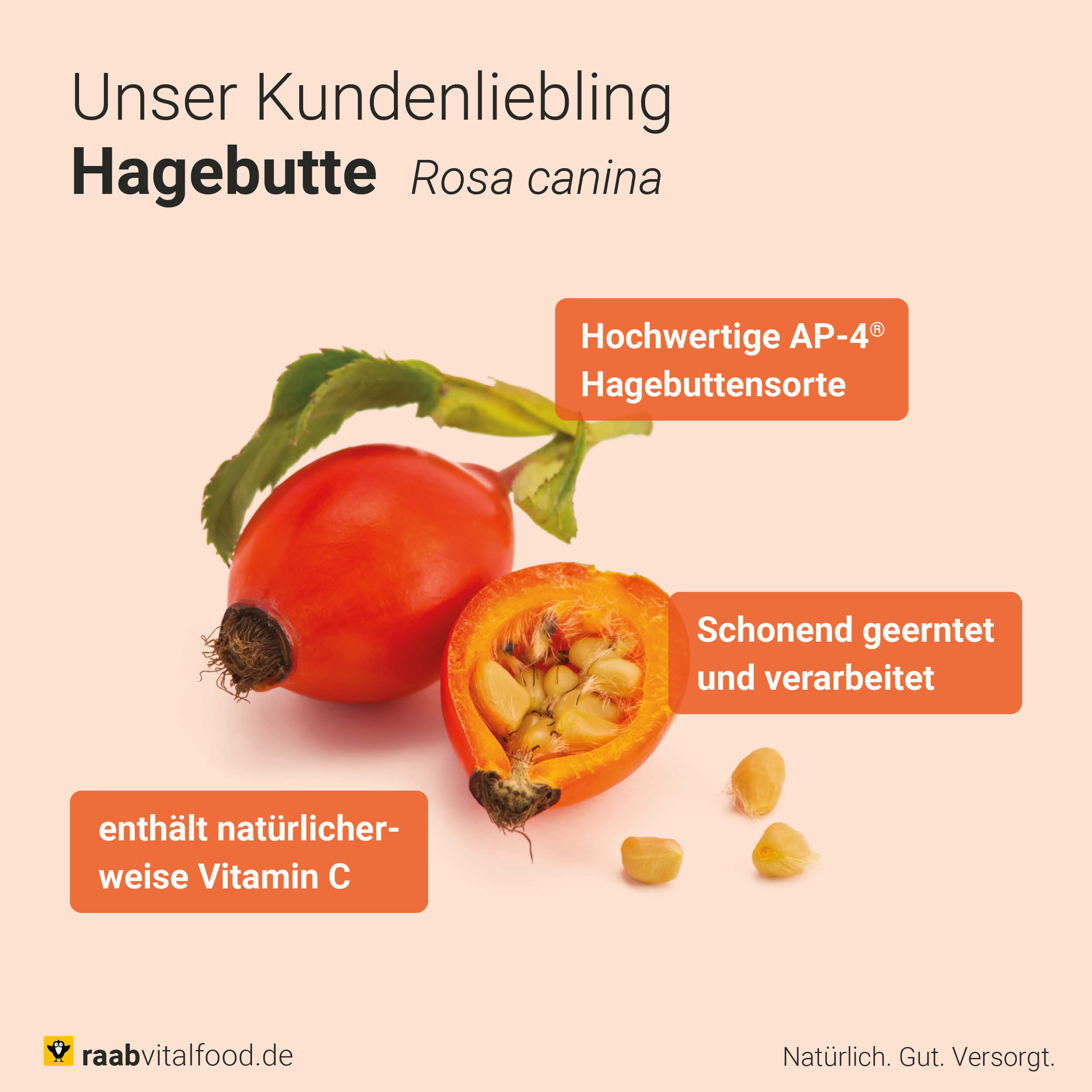 Organic Rose Hip Capsules 