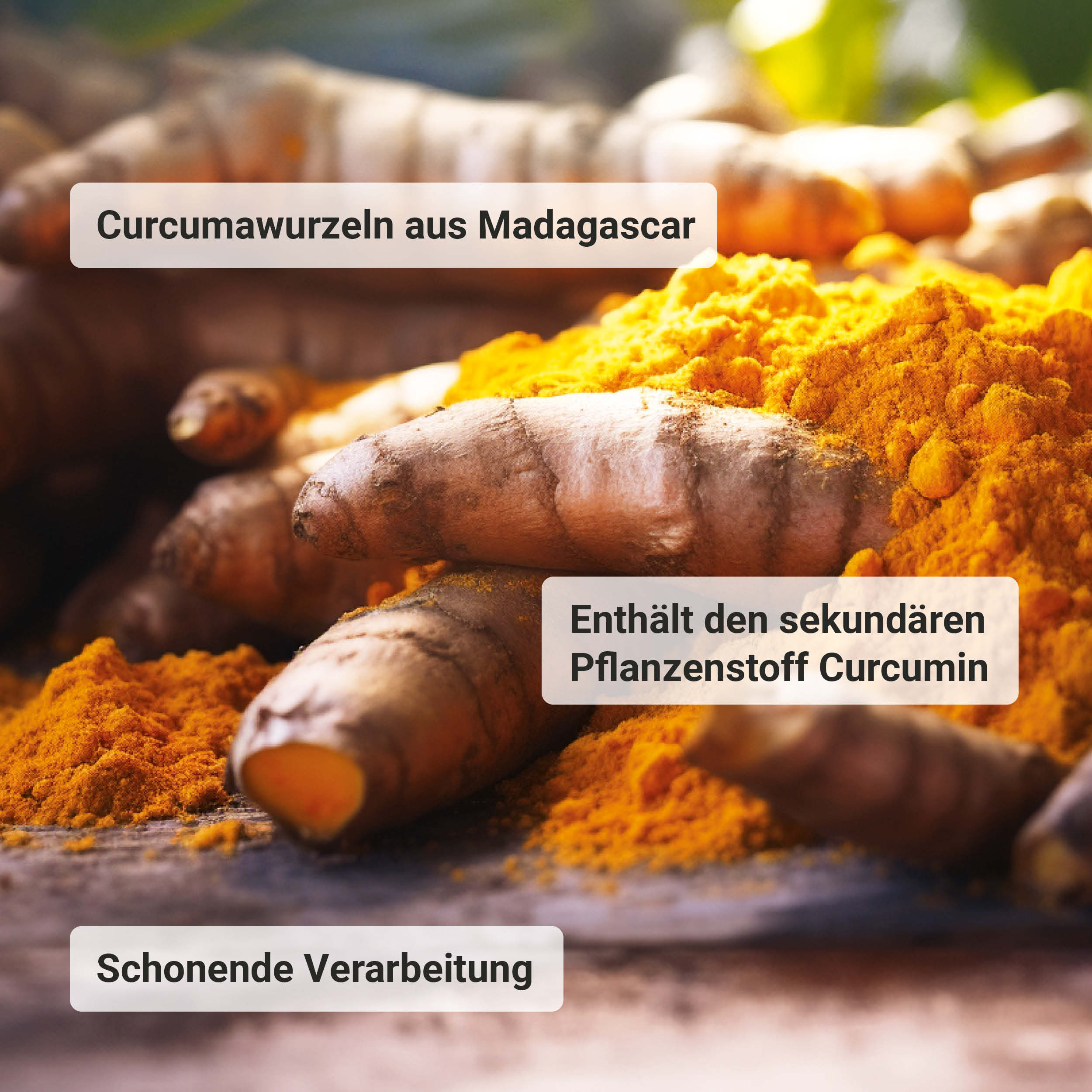 Bio Curcuma Tabletten