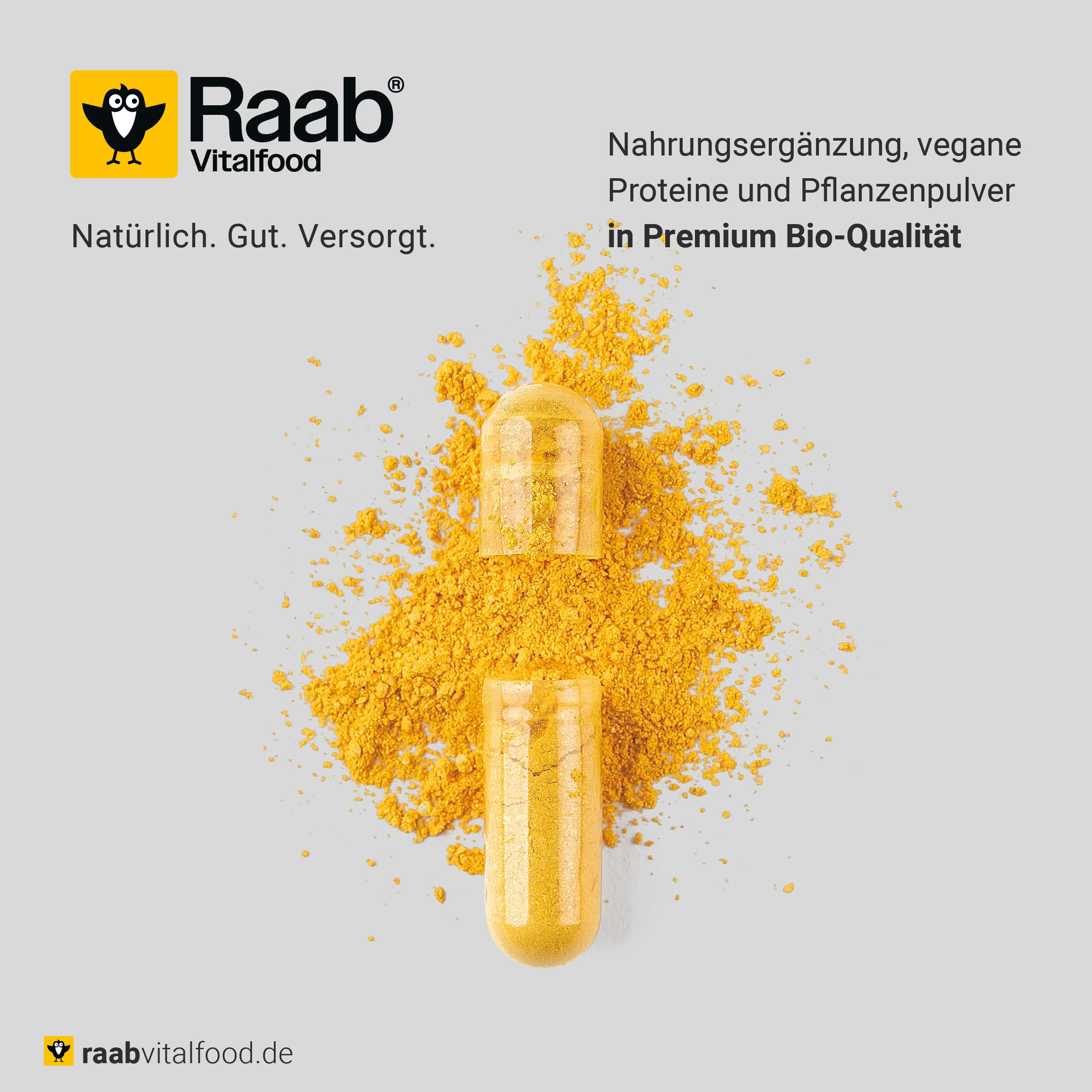 Geöffnete gelbe Kapsel mit Pflanzenpulver auf hellgrauem Hintergrund, Raab Vitalfood Logo mit Claim: Nahrungsergänzung, vegane Proteine und Pflanzenpulver in Premium Bio-Qualität.