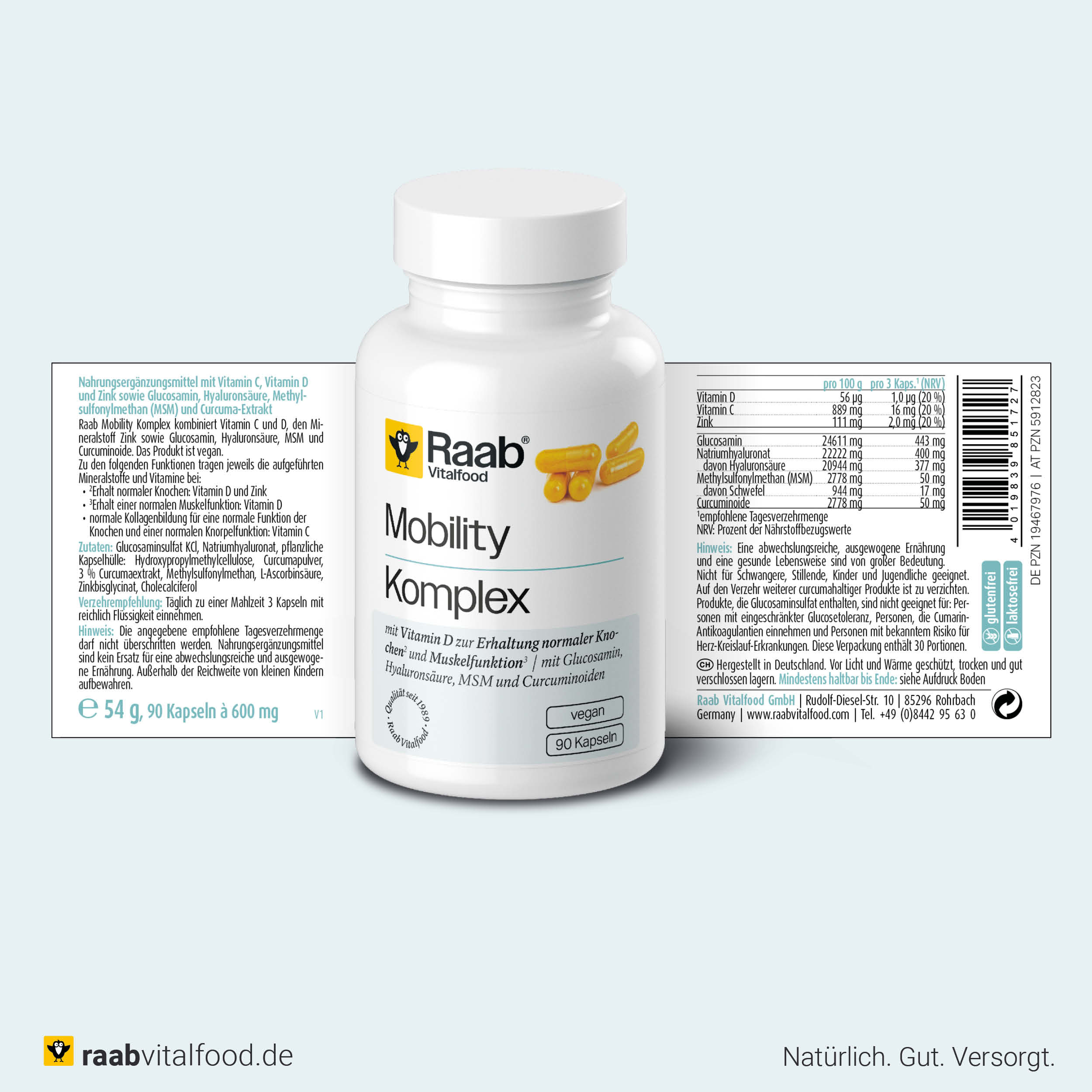 Vorder- und Rückseite der Dose Raab Mobility Komplex mit Zutaten, Nährwertangaben, Health Claims und Informationen zu 7 Wirkstoffen.