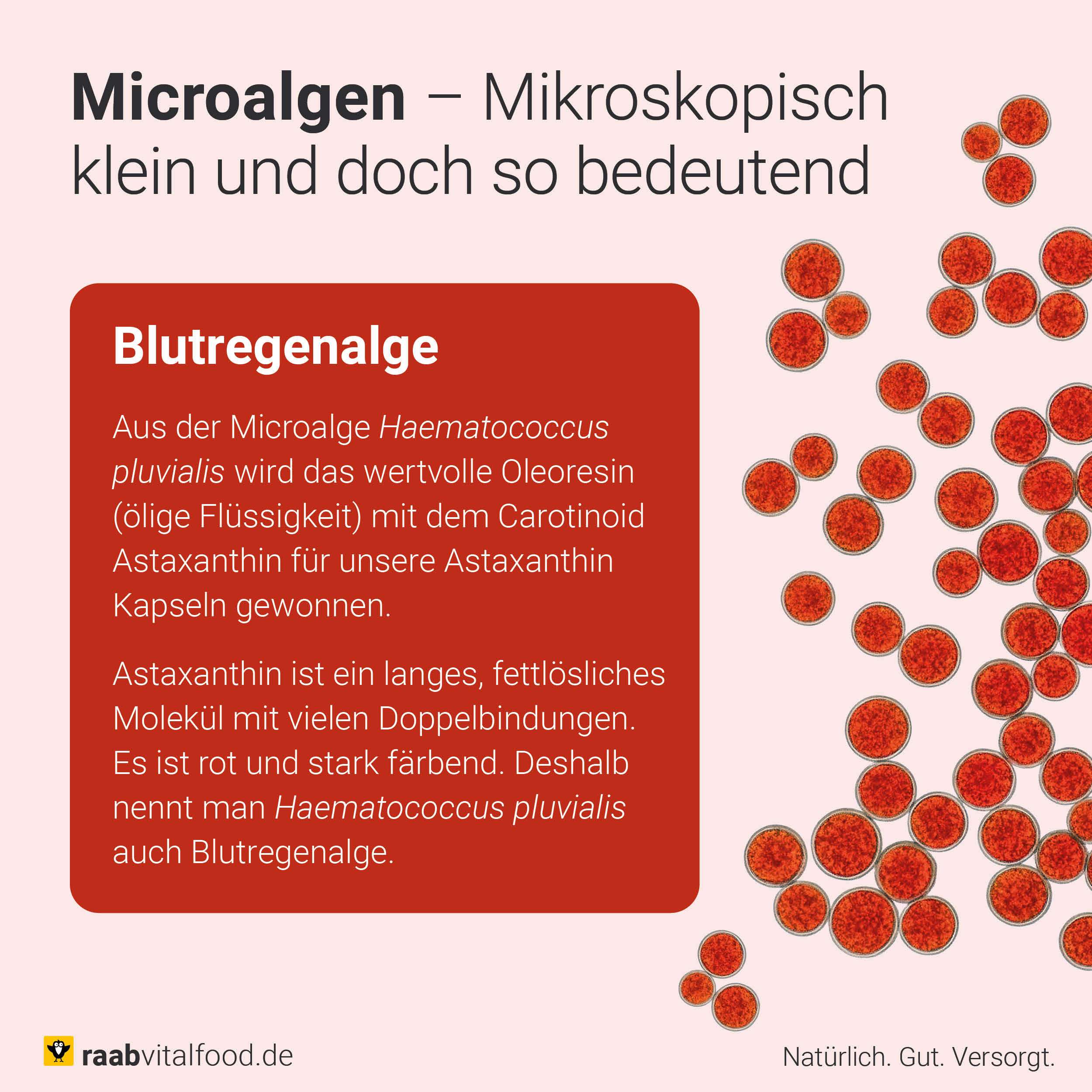 Astaxanthin Capsules