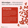 Astaxanthin Kapseln - Carotinoid aus Haematococcus pluvialis Mikroalge, vegan von Raab Vitalfood