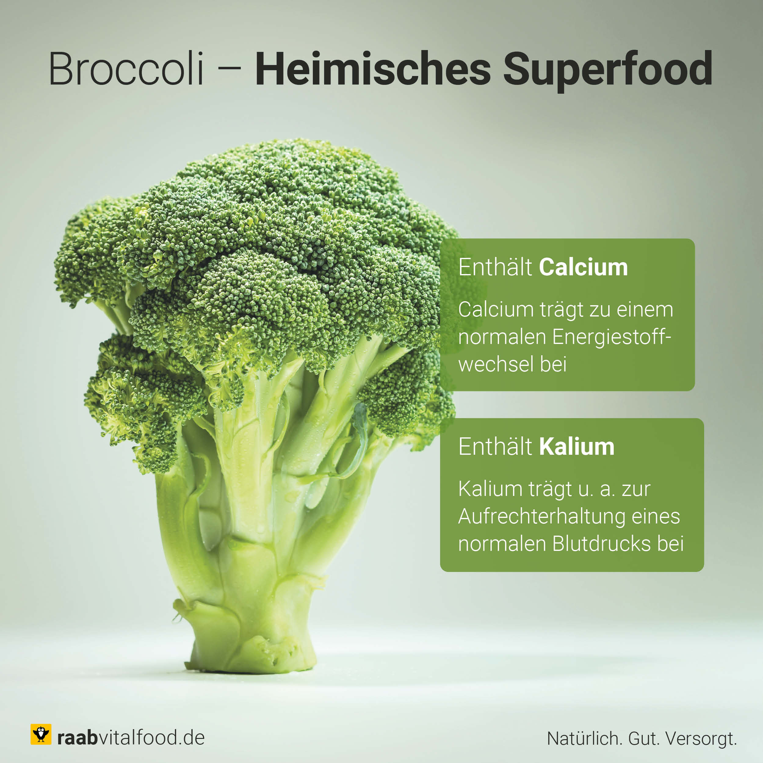 Organic Broccoli Powder