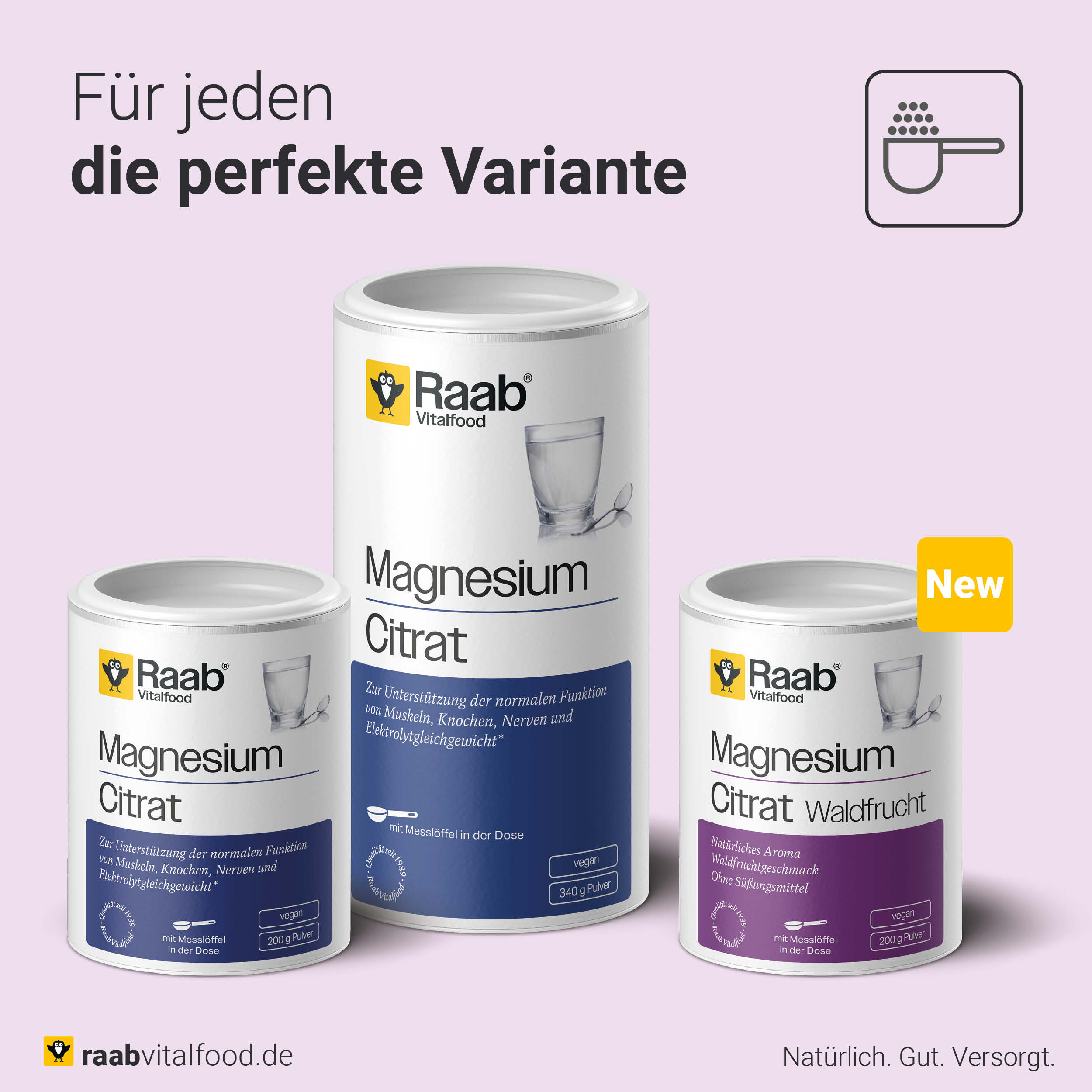 Magnesiumcitrat Waldfrucht