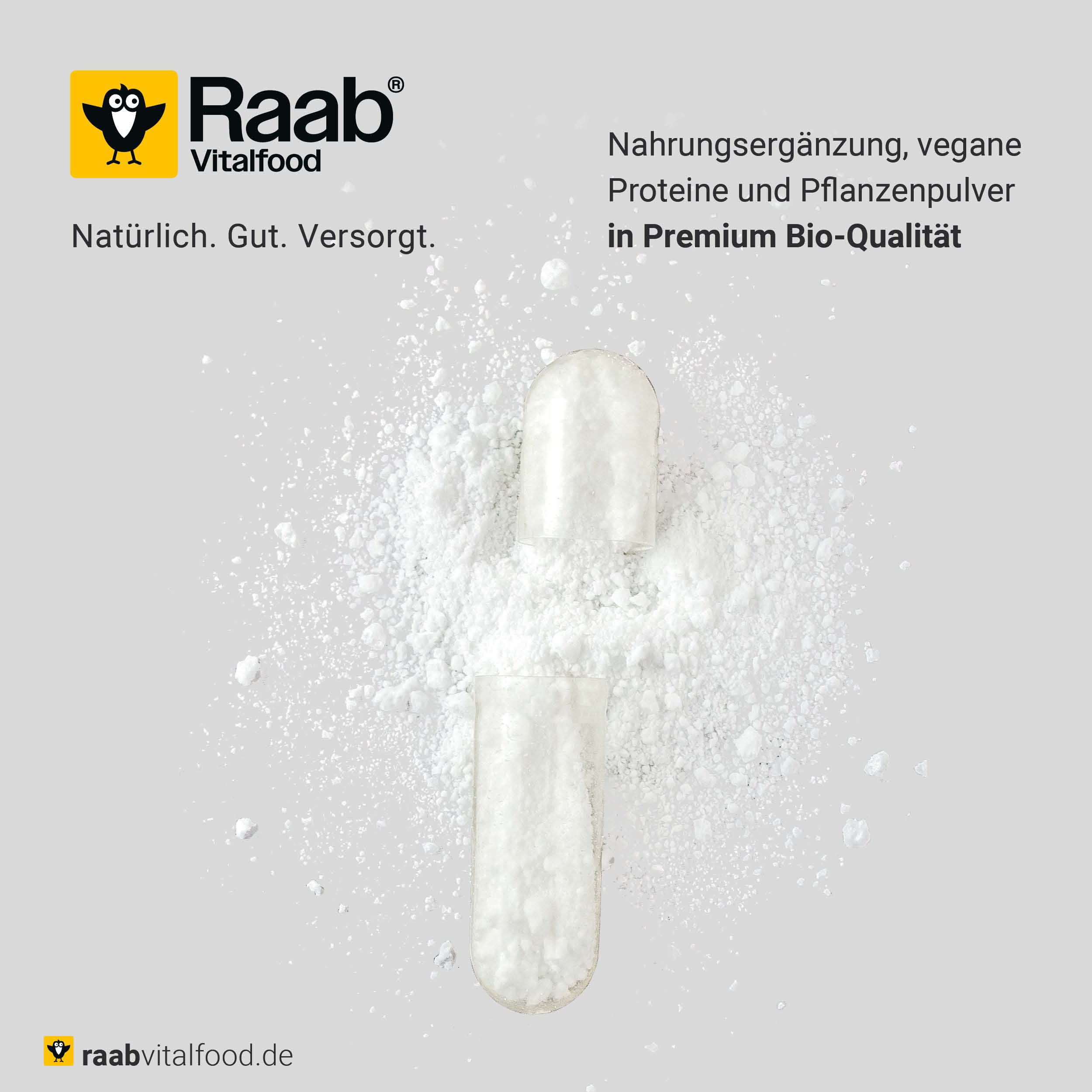 Makroaufnahme einer geöffneten veganen HPMC-Kapsel mit weißem Pulver, Nahrungsergänzung von Raab Vitalfood.