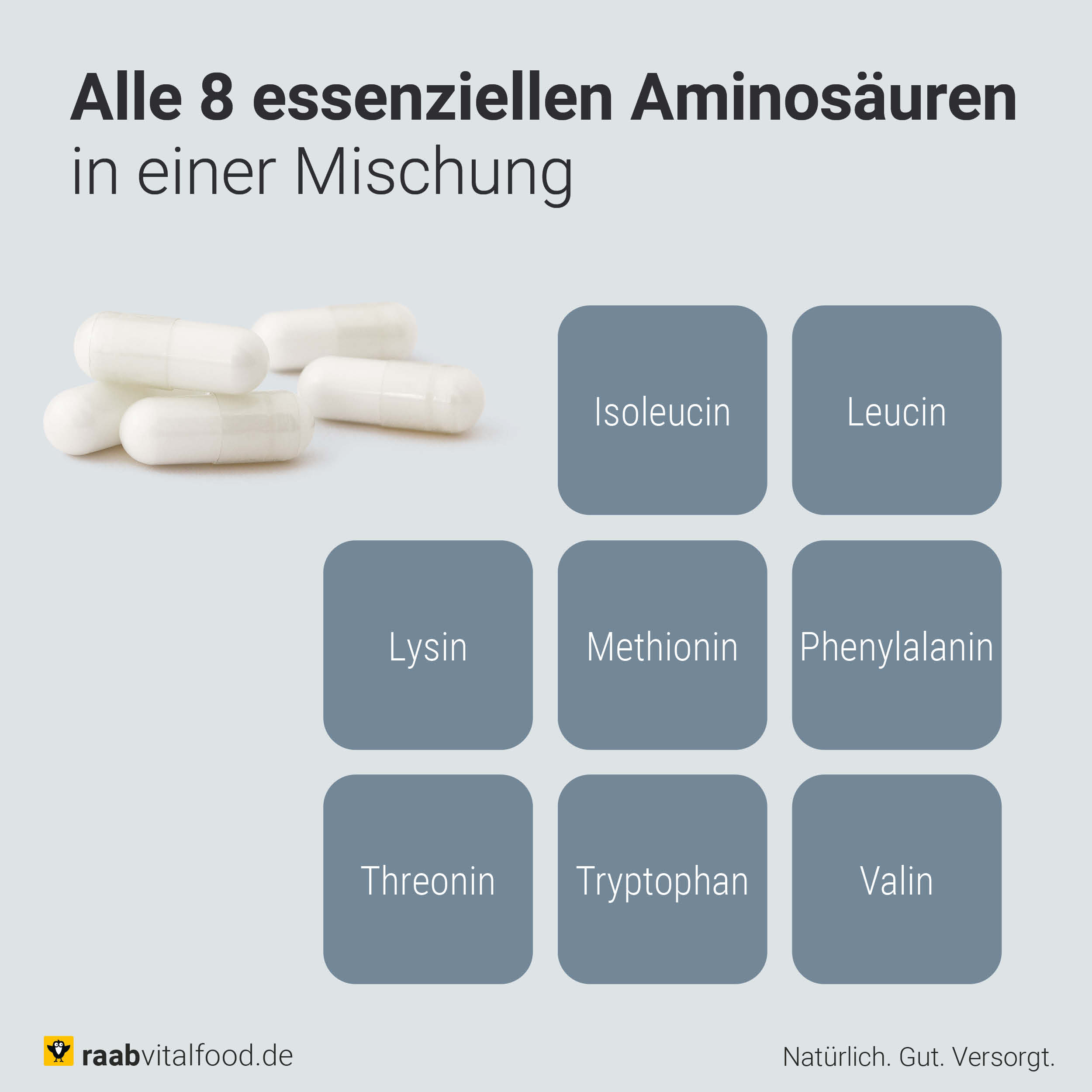Essenzielle Aminosäuren Kapseln - Darstellung aller 8 essenziellen Aminosäuren als Bausteine: L-Leucin, L-Valin, L-Isoleucin, L-Lysin, L-Phenylalanin, L-Threonin, L-Methionin, L-Tryptophan