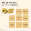 Raab Vitalfood Vitamin B Komplex Kapseln